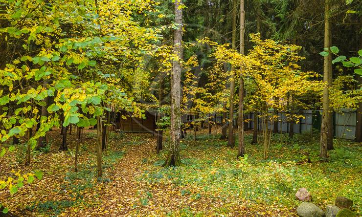 Лот-10830-337497 продажа участка 2-е Успенское шоссе Николино