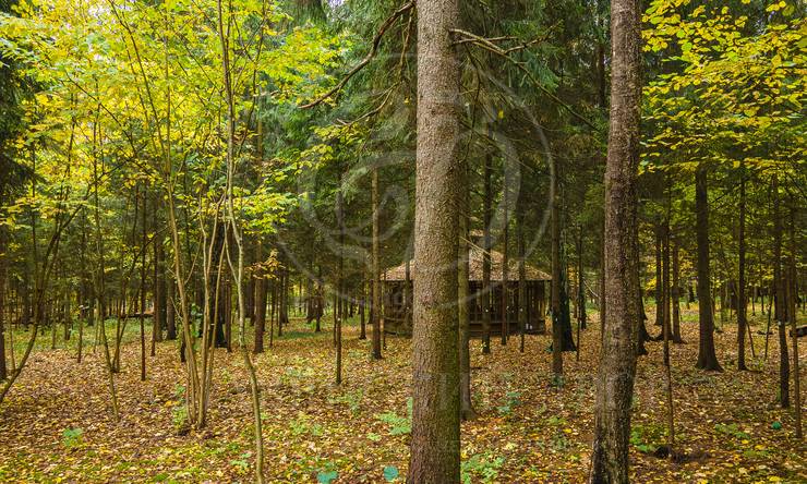 Лот-10830-337499 продажа участка 2-е Успенское шоссе Николино