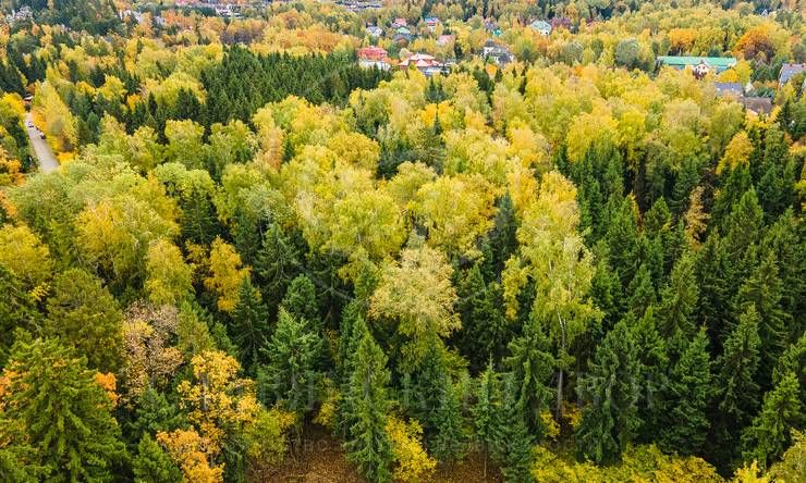 Лот-10830-337502 продажа участка 2-е Успенское шоссе Николино