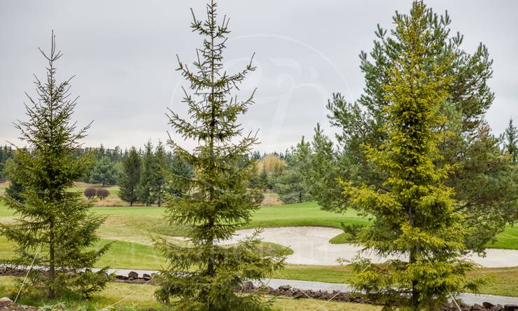 Лот-10456-338700 продажа дома Новорижское шоссе Агаларов Эстейт