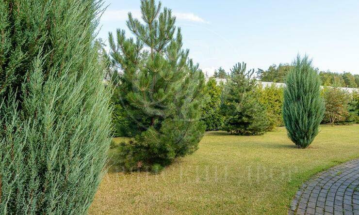 Лот-10854-339126 продажа дома Новорижское шоссе Княжье Озеро