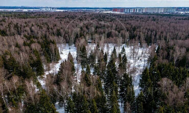 Лот-10865-339746 продажа участка Калужское шоссе Ватутинки