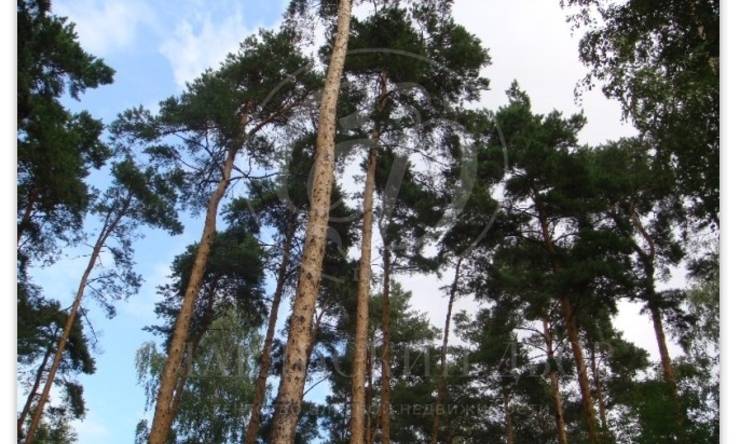 Лот-10894-340963 продажа участка Дмитровское шоссе Троицкое