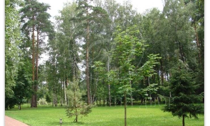 Лот-10894-340968 продажа участка Дмитровское шоссе Троицкое