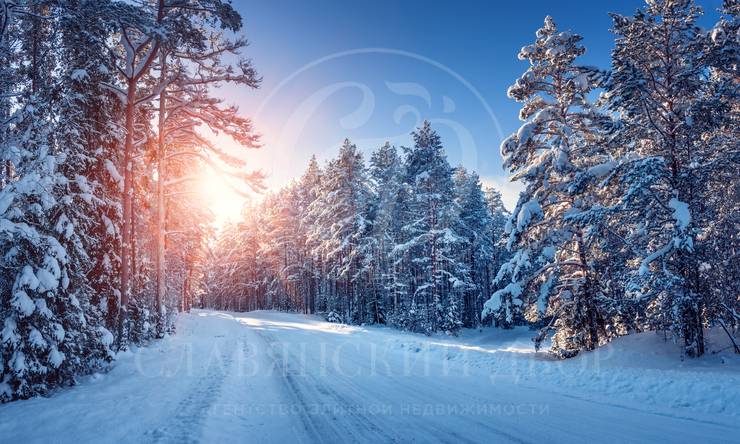 Лот-10901-341133 продажа участка Новорижское шоссе Павловская слобода