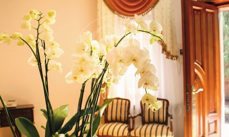 Лот-8693-341764 продажа дома Рублево-Успенское шоссе Раздоры