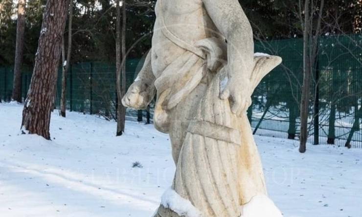 Лот-10987-344966 аренда дома Рублево-Успенское шоссе Романово-2