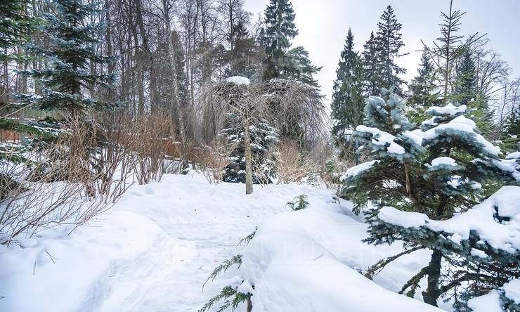 Лот-8172-345009 продажа дома Рублево-Успенское шоссе Благодать