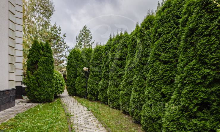 Лот-11009-346481 продажа дома 2-е Успенское шоссе Молоденово