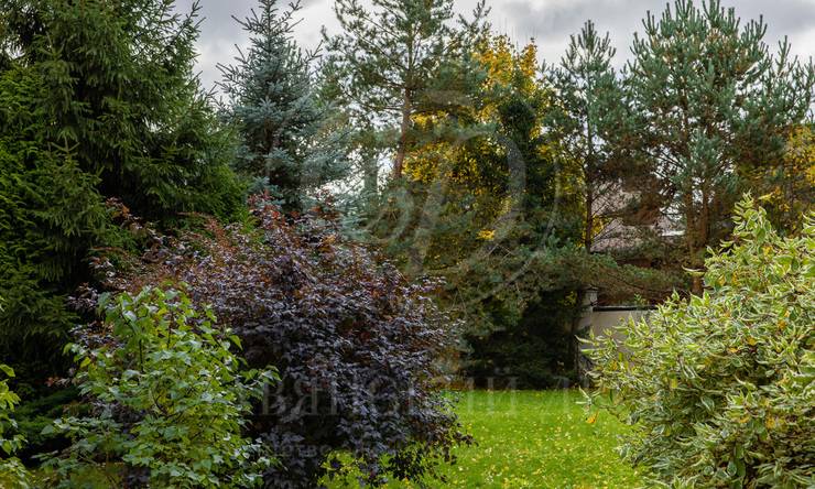 Лот-11009-346489 продажа дома 2-е Успенское шоссе Молоденово