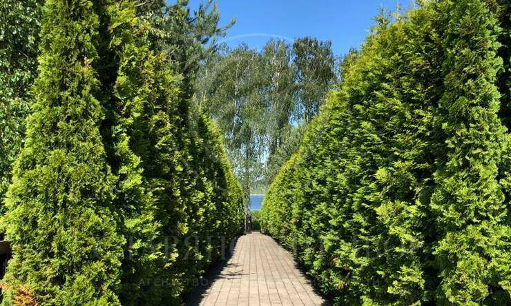 Лот-11119-352873 продажа дома Дмитровское шоссе Монаково