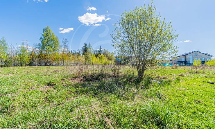 Лот-11158-354238 продажа участка 2-е Успенское шоссе Папушево Парк