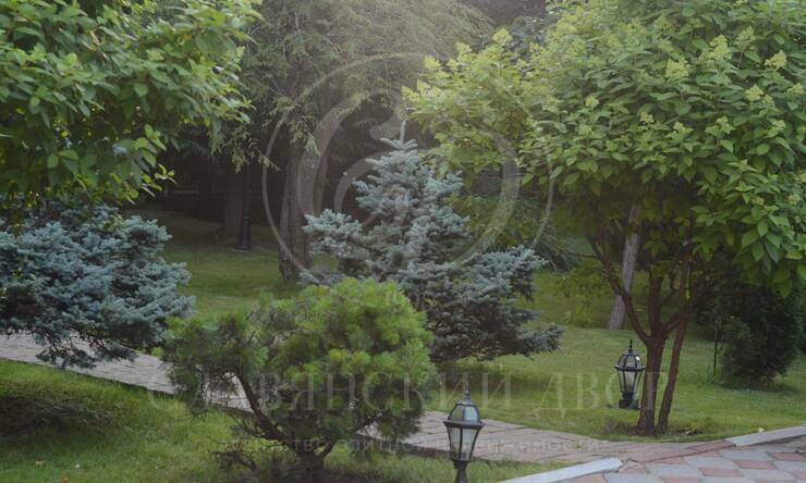 Лот-2408-354460 продажа дома 1-е Успенское шоссе Лесной простор