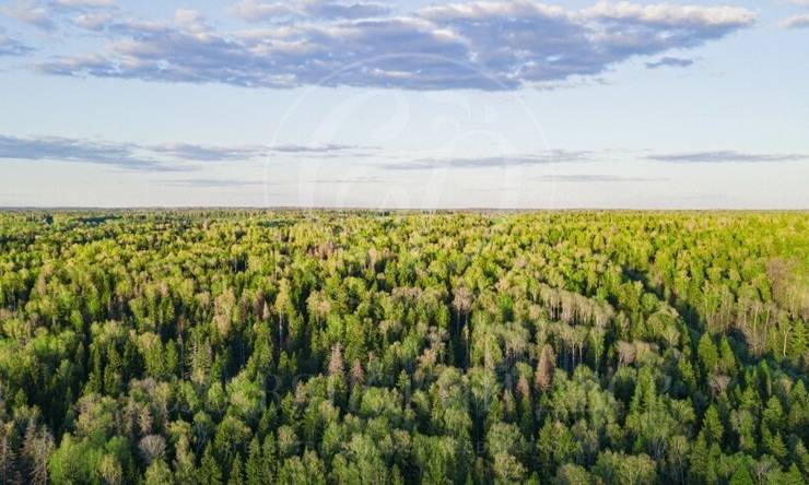 Лот-11179-355250 продажа участка Новорижское шоссе ДНТ Озерна