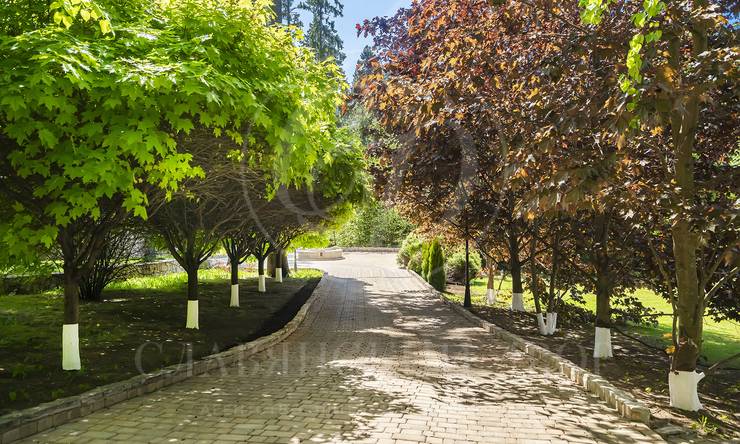 Лот-5789-355446 продажа дома Минское шоссе Грибово