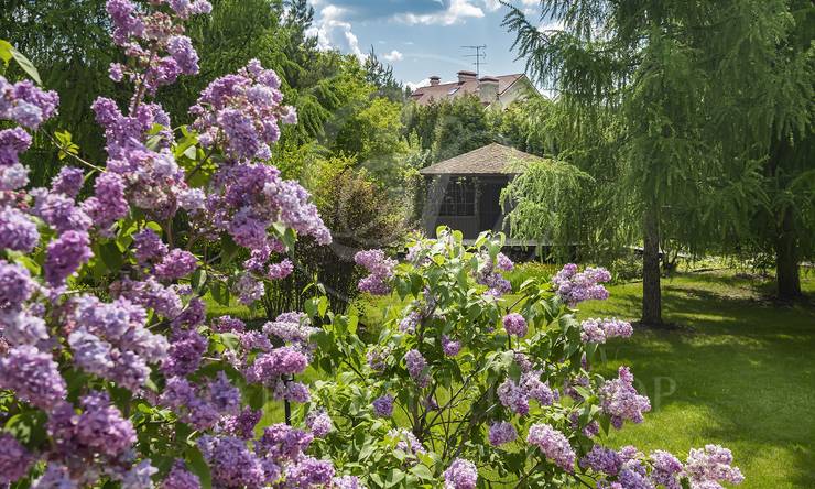 Лот-10973-356090 продажа дома Новорижское шоссе Бенилюкс