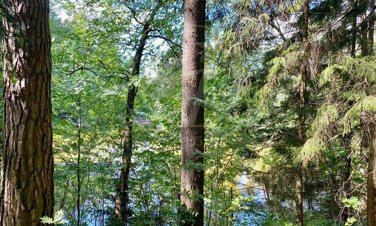 Лот-4173-359893 продажа участка Минское шоссе Грибово