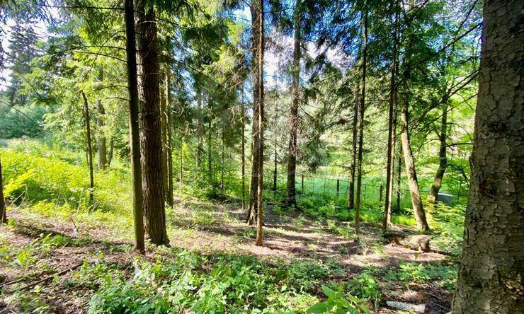 Лот-4173-359901 продажа участка Минское шоссе Грибово