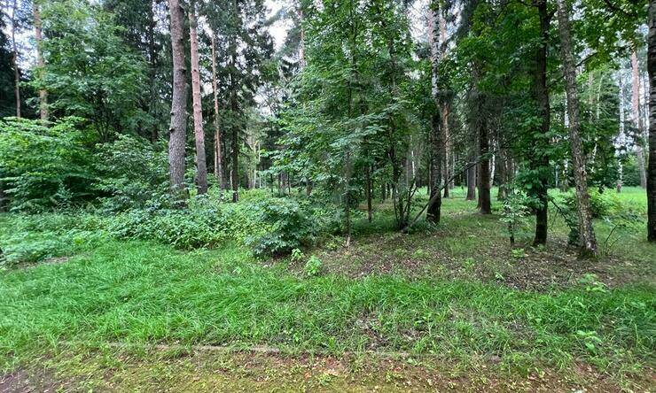 Лот-10670-360202 продажа участка 2-е Успенское шоссе Николино