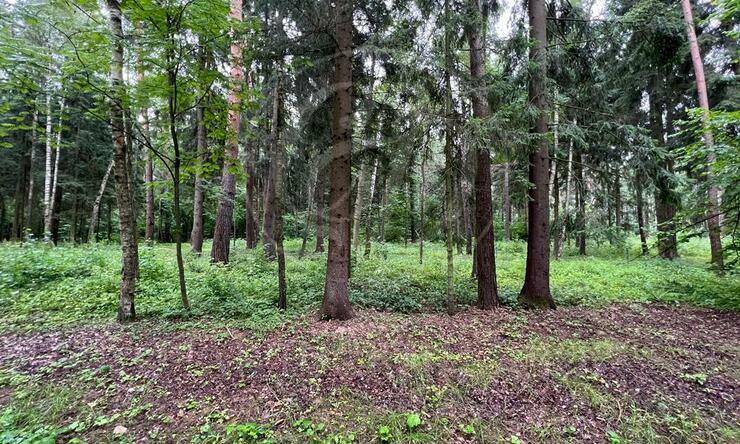 Лот-10670-360203 продажа участка 2-е Успенское шоссе Николино