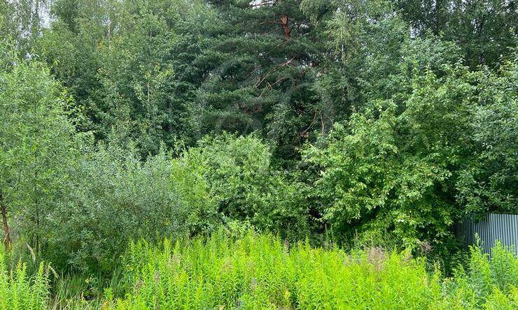 Лот-10670-360204 продажа участка 2-е Успенское шоссе Николино