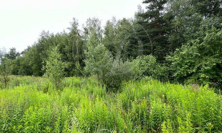 Лот-10670-360205 продажа участка 2-е Успенское шоссе Николино