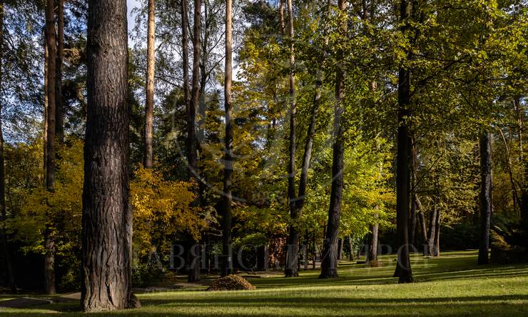 Лот-11318-361190 аренда дома Рублево-Успенское шоссе Александровка