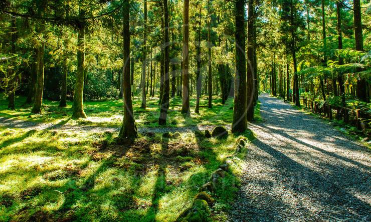 Лот-11368-364607 продажа участка Москва Серебряный бор