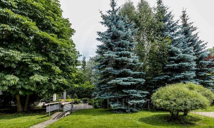 Лот-11384-365782 продажа дома Москва Силвер Плэйс (Silver Place)