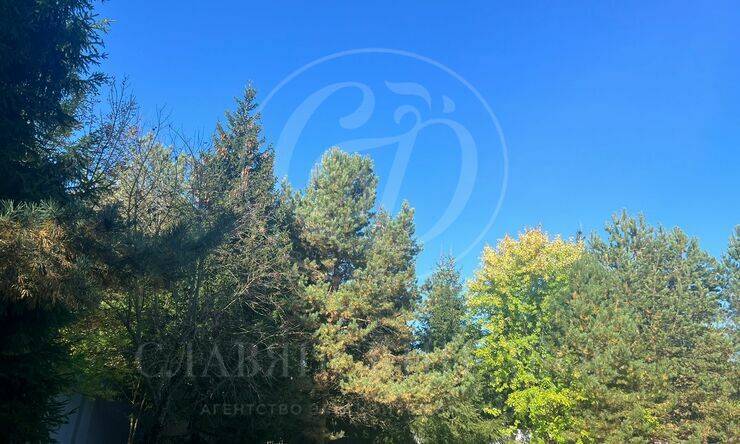 Лот-11389-365871 аренда дома Рублево-Успенское шоссе Горки-8