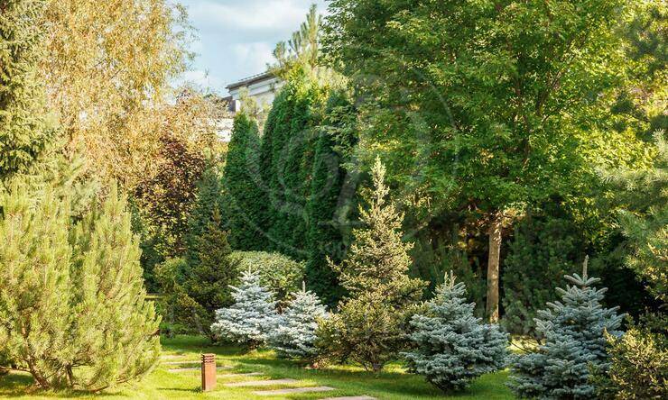 Лот-7157-366026 аренда дома Рублево-Успенское шоссе Парк Вилль (Park Ville)