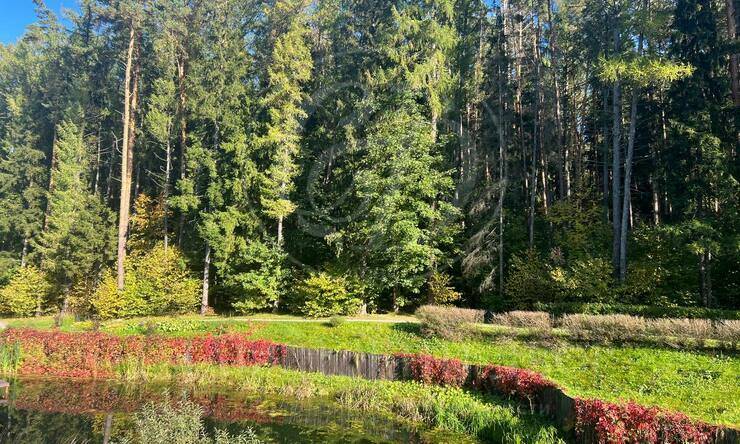 Лот-6195-366035 аренда дома 1-е Успенское шоссе Лапино