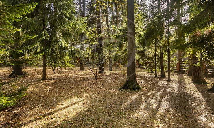 Лот-9944-367001 аренда дома 1-е Успенское шоссе Новая деревня