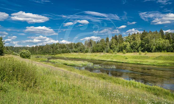 Лот-11433-369821 аренда дома Минское шоссе Старая Руза