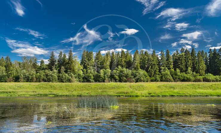 Лот-11433-369827 аренда дома Минское шоссе Старая Руза