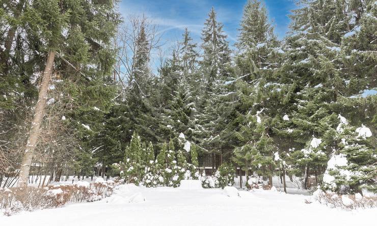 Лот-11488-375585 продажа дома Калужское шоссе Ватутинки