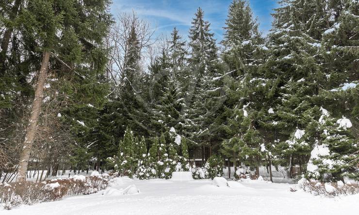 Лот-11488-375586 продажа дома Калужское шоссе Ватутинки