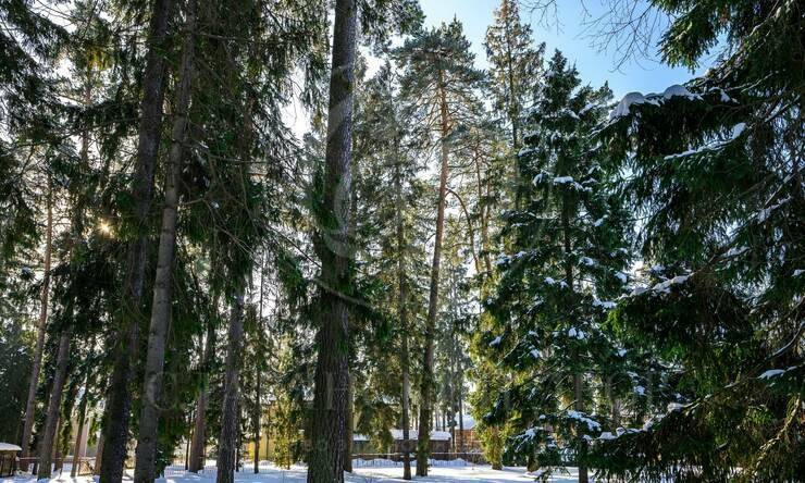 Лот-11538-379081 продажа дома Ярославское шоссе Чистые пруды [Ярославское шоссе]