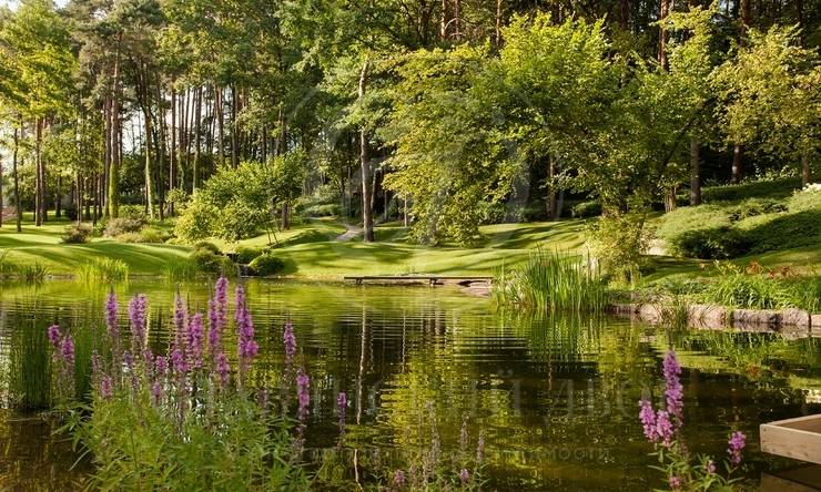 Лот-7992-380722 продажа дома Рублево-Успенское шоссе Горки-6