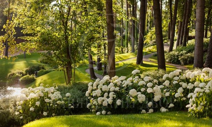 Лот-7992-380723 продажа дома Рублево-Успенское шоссе Горки-6