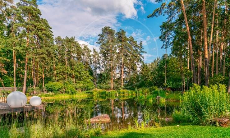 Лот-7992-380740 продажа дома Рублево-Успенское шоссе Горки-6