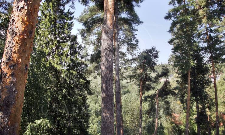 Лот-11566-380776 продажа дома Рублево-Успенское шоссе Сареево