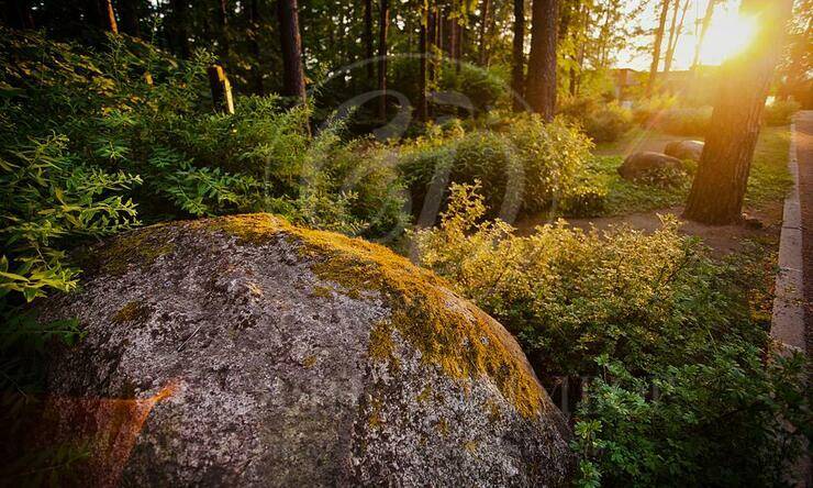 Лот-62-380810 посёлок Горки-6 Рублево-Успенское шоссе Архангельское