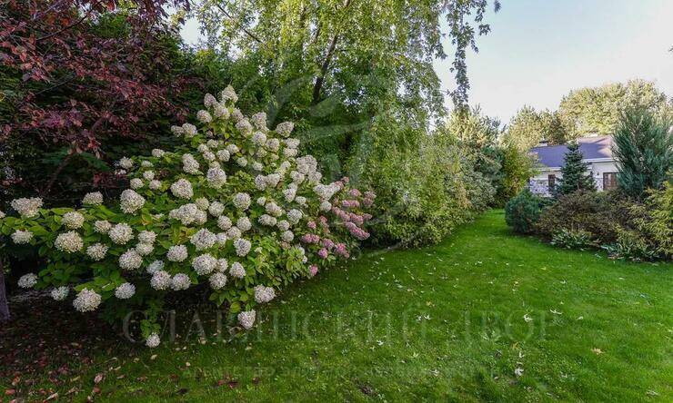 Лот-11587-382257 продажа дома Новорижское шоссе Княжье Озеро