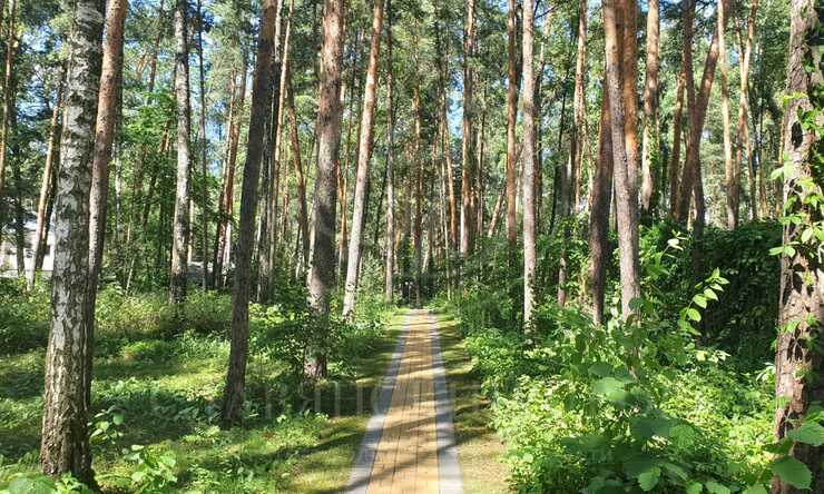 Лот-11616-384609 аренда дома Москва Серебряный бор