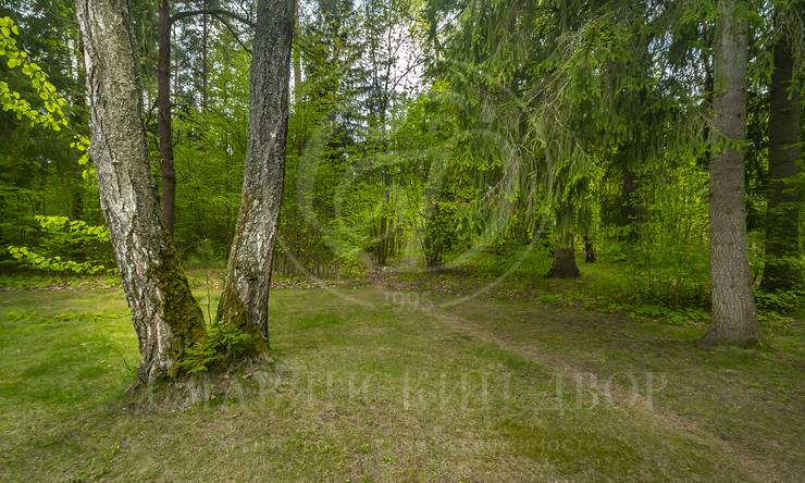 Лот-9256-385919 продажа дома Рублево-Успенское шоссе Сосновый Бор