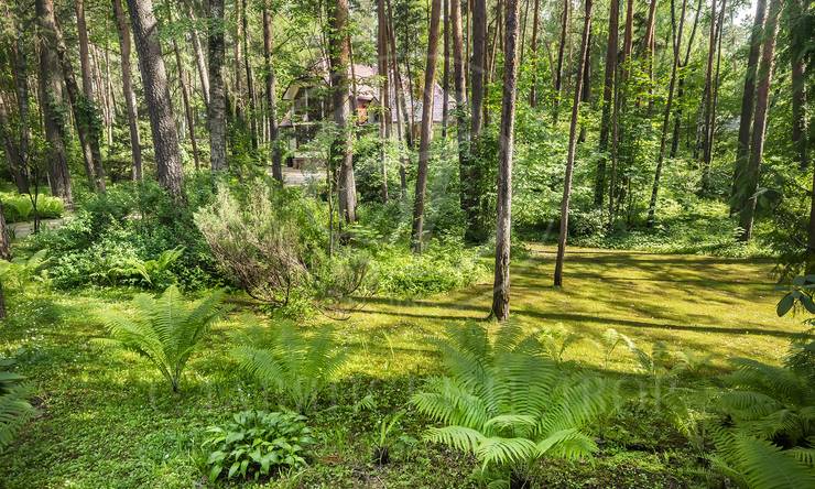 Лот-11616-386876 аренда дома Москва Серебряный бор