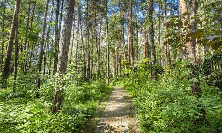 Лот-11648-386894 аренда дома Москва Серебряный бор