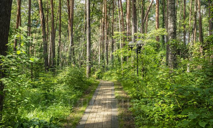 Лот-11648-386895 аренда дома Москва Серебряный бор