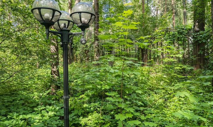 Лот-11648-386897 аренда дома Москва Серебряный бор